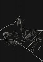 Plakat 70x100cm Nocny Spokój