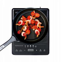 KUCHENKA INDUKCYJNA ELEKTRYCZNA JEDNOPALNIKOWA PŁYTA GRZEWCZA INDUKCJA