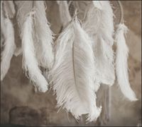 Tło do fotografii produktowej kulinarnej Flat Lay