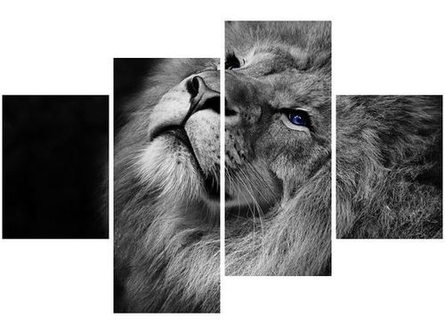 140CM 70 OBRAZ SREBRNY LEW NIEBIESKIMI OCZYMA ŚCIENNY na Arena.pl