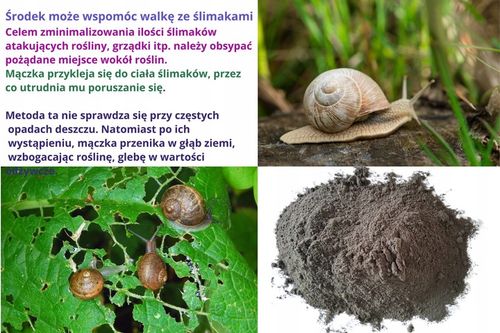 Mączka bazaltowa naturalny nawóz do roślin warzyw 19,5 kg na Arena.pl