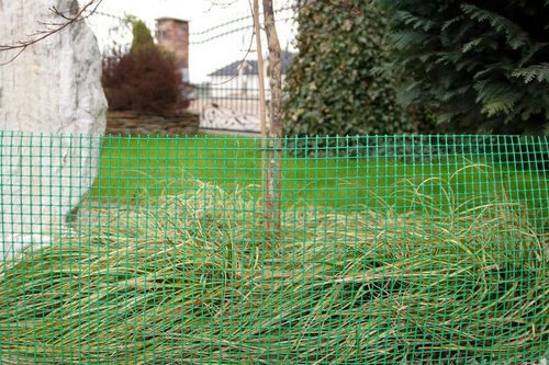 Siatka Rabatowa Dla Drobiu 1,2x10m Ochronna Na Drzewka Rabaty Zielona Ogród na Arena.pl