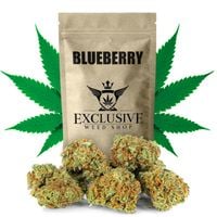 Susz konopny Blueberry CBD Exclusive Weed 5g