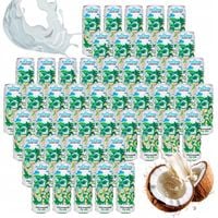 NIEGAZOWANA NATURALNA WODA KOKOSOWA COCONAUT 320ML Z MŁODEGO KOKOSA