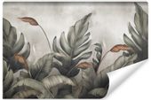 Fototapeta Ścienna Beton LIŚCIE Monstera Abstrakcja 300cm x 210cm