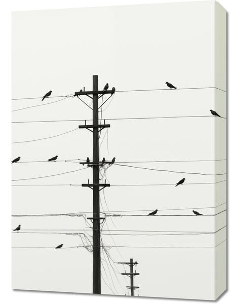 Obraz 50x70cm Symfonia na Drutach zdjęcie 1