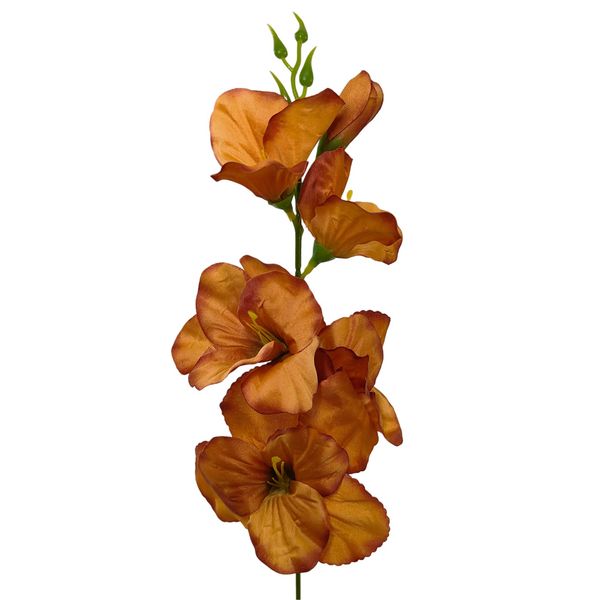 Mieczyk poj. brązowy 12 szt zdjęcie 1