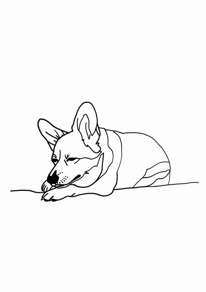 Plakat 59,4x84,1cm Śpiący Corgacz zdjęcie 1