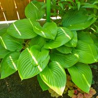 product-compare-57951273