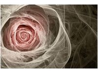 product-compare-58653788