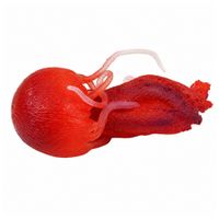 DLA DZIECI ROZCIĄGLIWA FIGURKA MEDUZY