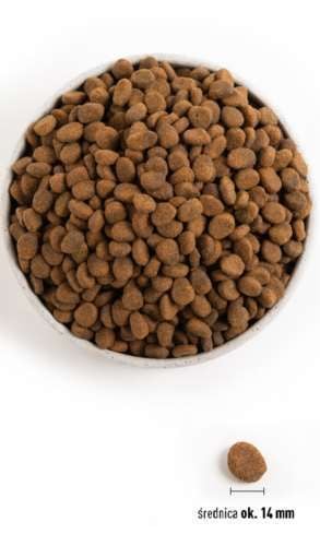 ORIJEN REGIONAL RED DOG 2KG na Arena.pl
