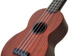 WU-21W Ukulele sopranowe karbonowe Ever Play +Kurs