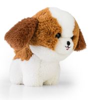 maskotka teddy pets shih tzu