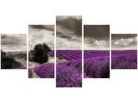 product-compare-58701080