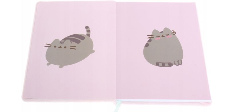 NOTES PLUSZOWY A5/96K PUSHEEN 2080 zdjęcie 2