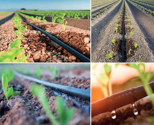 LINIA KROPLUJĄCA XXL 100m + 100el NAWODNIENIE KROPELKOWE WĄŻ KROPELKUJĄCY na Arena.pl