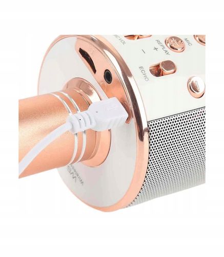 Bezprzewodowy mikrofon karaoke WS858 5 kolorow Wwa na Arena.pl