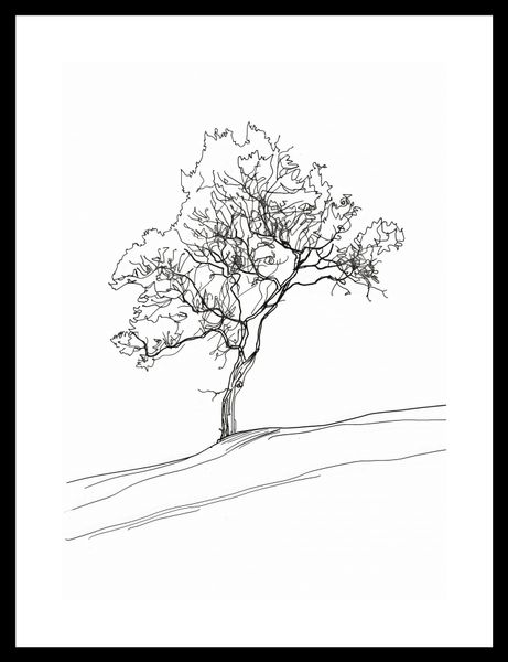 Plakat 25x35cm Drzewo w Zarysie zdjęcie 3