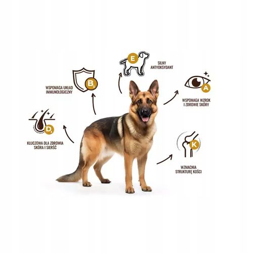 Snax Daily karma sucha mix smaków 20 kg dla Owczarka Labradora na Arena.pl