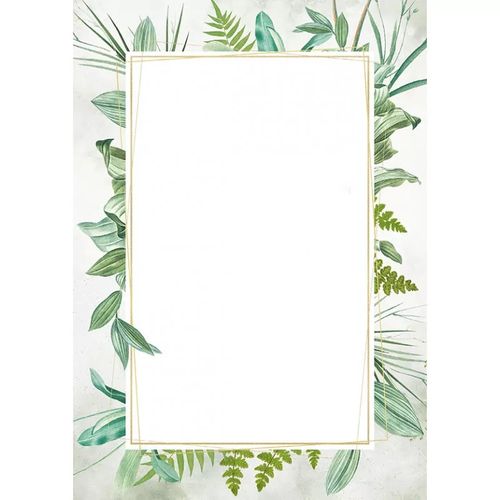 dyplom botanic 219617  170g 25szt 8107 na Arena.pl