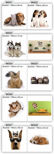 NAKLEJKA naklejki zwierzęta 120 cm koń psy koty na Arena.pl