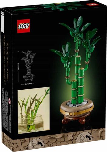 10344 - LEGO The Botanical Collection - Dracena sandera na Arena.pl