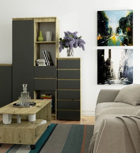 Komoda CL6 40 cm 6 szuflad - dąb artisan szara na Arena.pl