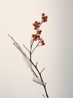 Plakat 60x80cm Subtelna Siła Zimy