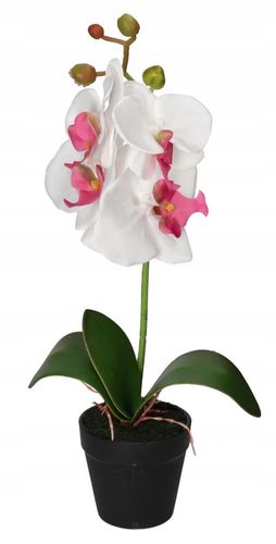 STORCZYK ORCHIDEA SZTUCZNE KWIATY W DONICZCE 38 CM na Arena.pl