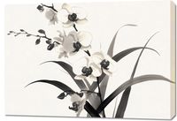 Obraz 100x70cm Orchidea
