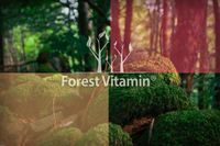 product-compare-58999948