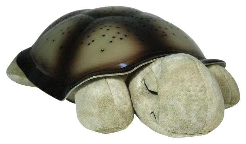 ND19_CLTT-7323-ZZ Cloud b®Twilight Turtle zdjęcie 1