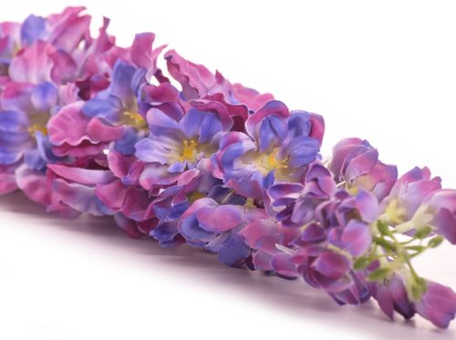 Ostróżka fioletowa na Arena.pl