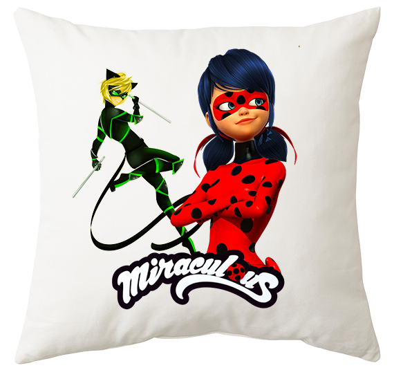 Poduszka Biedronka i Czarny Kot zdjęcie 1