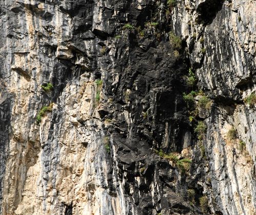 SHILAJIT MUMIO HIMALAJSKIE NATURALNE ORYGINALNE CZYSTE ŻYWE PASTA 25G na Arena.pl