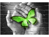 OBRAZ GREEN BUTTERFLY MOTYL DŁOŃ CEGŁA