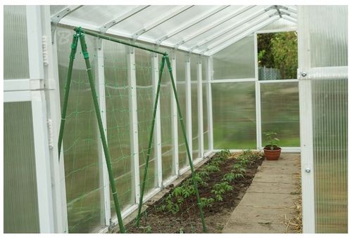 Podpora siatka do ogórków Pomidorów TYCZKA PALIK 7 Tyczek 150cm + Akcesoria na Arena.pl