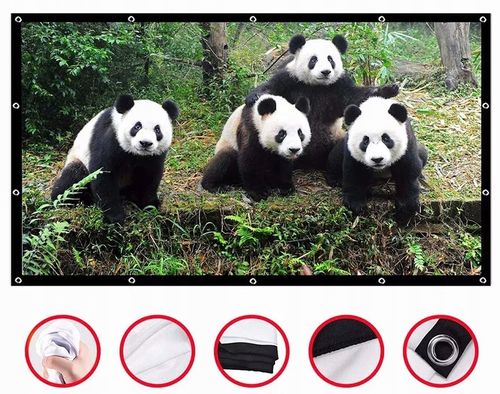 EKRAN PROJEKCYJNY do projektora Rzutnika Przenośny Zwijany 16:9 120 Cali na Arena.pl