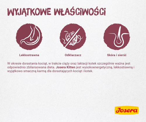 josera minette kitten 2kg na Arena.pl