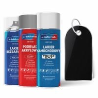 lakier samochodowy w sprayu zestaw naprawczy ford panther black