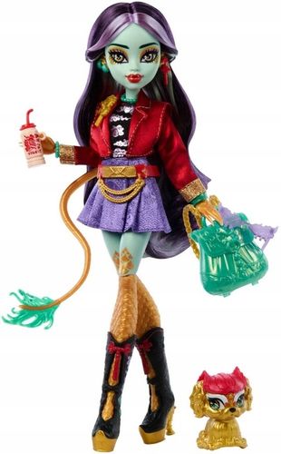 Monster High Lalka podstawowa Jinafire Long 26 cm zwierzątko Cloudy Yun Yun na Arena.pl