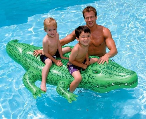 INTEX 58546 MATERAC ALIGATOR 168x86CM na Arena.pl