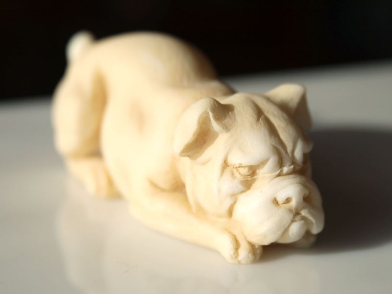 Pies Orthros zdjęcie 3