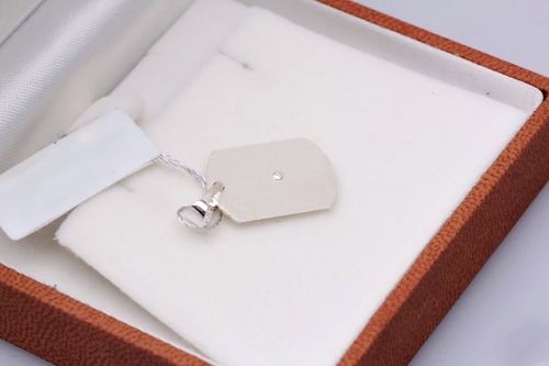 Srebrny wisiorek WSX3766 na Arena.pl