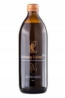 GO YOUNG BARLEY młody jęczmień oczyszczanie wsparcie odchudzania 500ml