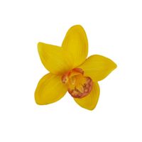 Storczyk wyrobowy ciemny żółty 12 szt