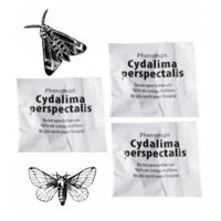 Feromon wabiący do pułapki na ćmę bukszpanową CDP x 3