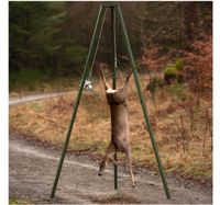 Trójnóg do rozbioru zwierzyny