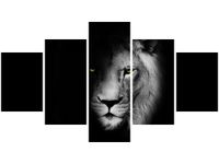 OBRAZ DUCH MROK LEW CIEŃ CZARNO-BIAŁY